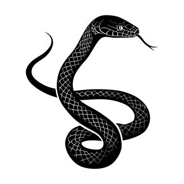 recommend clip art: Silhouette snake black color only full body 