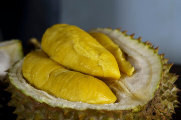 A close up photo of a Musang King durian, a spiky, oval-shaped fruit with a strong odor.
