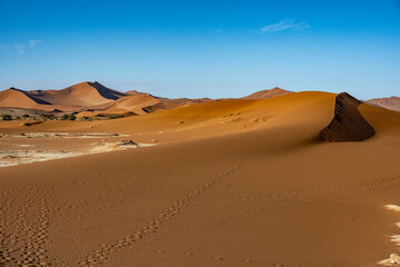 Fototapeta na wymiar magical beauty yellow mountains, dry dead trees and a desert plain against the sky in the Namibian desert