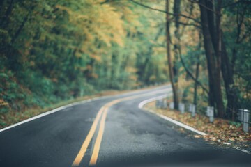 an empty road in a forest with green leaves and yellow lines