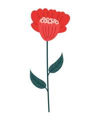 Red flower on a long green stem with leaves. Botanical vector illustration hand drawn, flat. Suitable for herbarium, ornaments, color icons