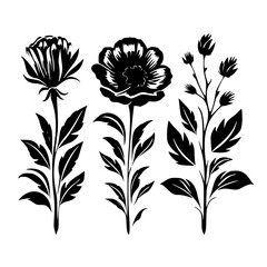 Silhouette rose, rose vector, flower svg, vector flower, herb, branch, line art, outline, eps, png, svg, flower, floral, vector, nature, leaf, rose, illustration, plant, design, vintage, pattern, flow