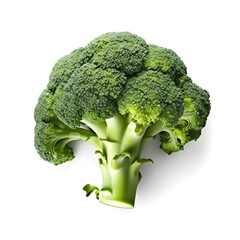 broccoli isolated vegetables for healthy food