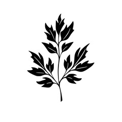 Silhouette rose, rose vector, flower svg, vector flower, herb, branch, line art, outline, eps, png, svg, flower, floral, vector, nature, leaf, rose, illustration, plant, design, vintage, pattern, flow