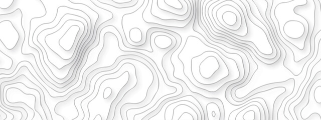 Fototapeta premium Abstract topography line wave paper curved reliefs background black and white, Background of the topographic line map. Topographic map patterns abstract white topography vector background.