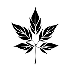 Silhouette rose, rose vector, flower svg, vector flower, herb, branch, line art, outline, eps, png, svg, flower, floral, vector, nature, leaf, rose, illustration, plant, design, vintage, pattern, flow