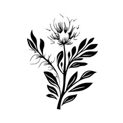 Silhouette rose, rose vector, flower svg, vector flower, herb, branch, line art, outline, eps, png, svg, flower, floral, vector, nature, leaf, rose, illustration, plant, design, vintage, pattern, flow