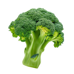 Broccoli Isolated on transparent background