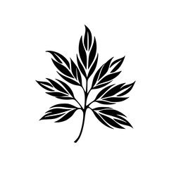 Silhouette rose, rose vector, flower svg, vector flower, herb, branch, line art, outline, eps, png, svg, flower, floral, vector, nature, leaf, rose, illustration, plant, design, vintage, pattern, 