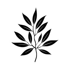 Silhouette rose, rose vector, flower svg, vector flower, herb, branch, line art, outline, eps, png, svg, flower, floral, vector, nature, leaf, rose, illustration, plant, design, vintage, pattern, 