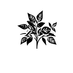 Silhouette rose, rose vector, flower svg, vector flower, herb, branch, line art, outline, eps, png, svg, flower, floral, vector, nature, leaf, rose, illustration, plant, design, vintage, pattern, 