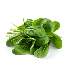 spinach isolated vegetables for healthy food