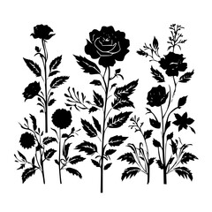 Silhouette rose, rose vector, flower svg, vector flower, herb, branch, line art, outline, eps, png, svg, flower, floral, vector, nature, leaf, rose, illustration, plant, design, vintage, pattern, 