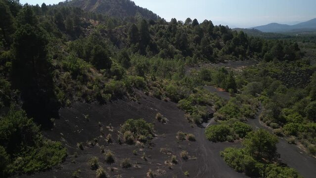 Drone footage of the fields near the Paricutin volcano covered with black volcanic soil, Mexico