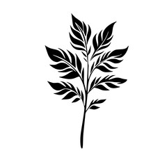 Silhouette rose, rose vector, flower svg, vector flower, herb, branch, line art, outline, eps, png, svg, flower, floral, vector, nature, leaf, rose, illustration, plant, design, vintage, pattern, 