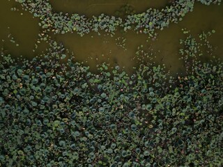 Aerial view of Songshan Lake located in Dongguan, China