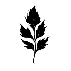 Silhouette rose, rose vector, flower svg, vector flower, herb, branch, line art, outline, eps, png, svg, flower, floral, vector, nature, leaf, rose, illustration, plant, design, vintage, pattern, flow