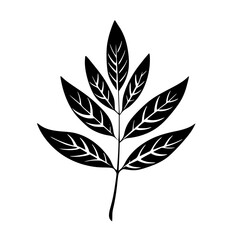 Silhouette rose, rose vector, flower svg, vector flower, herb, branch, line art, outline, eps, png, svg, flower, floral, vector, nature, leaf, rose, illustration, plant, design, vintage, pattern, flow