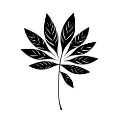 Silhouette rose, rose vector, flower svg, vector flower, herb, branch, line art, outline, eps, png, svg, flower, floral, vector, nature, leaf, rose, illustration, plant, design, vintage, pattern, flow