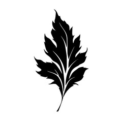 Silhouette rose, rose vector, flower svg, vector flower, herb, branch, line art, outline, eps, png, svg, flower, floral, vector, nature, leaf, rose, illustration, plant, design, vintage, pattern, flow