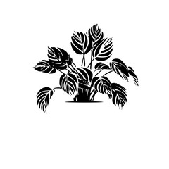 Silhouette rose, rose vector, flower svg, vector flower, herb, branch, line art, outline, eps, png, svg, flower, floral, vector, nature, leaf, rose, illustration, plant, design, vintage, pattern, flow