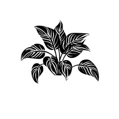 Silhouette rose, rose vector, flower svg, vector flower, herb, branch, line art, outline, eps, png, svg, flower, floral, vector, nature, leaf, rose, illustration, plant, design, vintage, pattern, flow