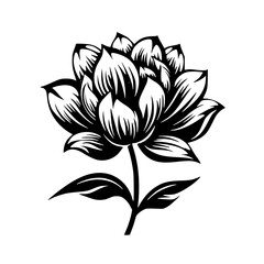 Silhouette rose, rose vector, flower svg, vector flower, herb, branch, line art, outline, eps, png, svg, flower, floral, vector, nature, leaf, rose, illustration, plant, design, vintage, pattern, 