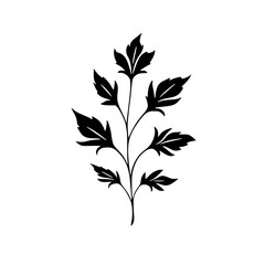 Rose Silhouette, Lily Silhouette, Sunflower Silhouette, Tulip Silhouette, Orchid Silhouette, Daisy Silhouette, Peony Silhouette, Daffodil Silhouette, Marigold Silhouette, Hydrangea Silhouette, Snapdra