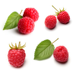 Raspberry in different views on white background