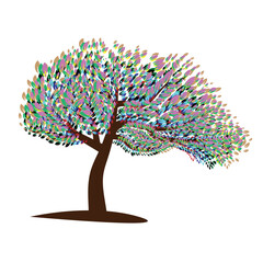 Multiple colorful leaf tree with white background