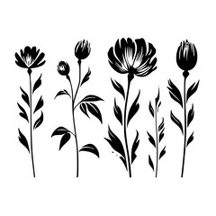 Silhouette rose, rose vector, flower svg, vector flower, herb, branch, line art, outline, eps, png, svg, flower, floral, vector, nature, leaf, rose, illustration, plant, design, vintage, pattern, 