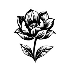 Silhouette rose, rose vector, flower svg, vector flower, herb, branch, line art, outline, eps, png, svg, flower, floral, vector, nature, leaf, rose, illustration, plant, design, vintage, pattern, 