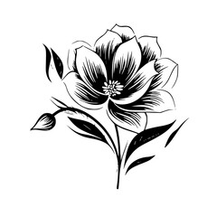 Silhouette rose, rose vector, flower svg, vector flower, herb, branch, line art, outline, eps, png, svg, flower, floral, vector, nature, leaf, rose, illustration, plant, design, vintage, pattern, 