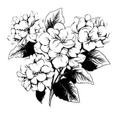 Silhouette rose, rose vector, flower svg, vector flower, herb, branch, line art, outline, eps, png, svg, flower, floral, vector, nature, leaf, rose, illustration, plant, design, vintage, pattern, 