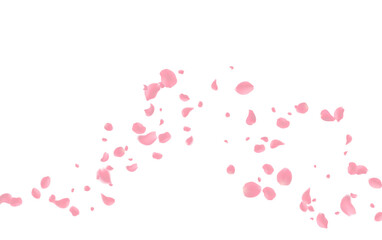 Valentine's day Vector red symbols of love border for romantic banner or Red rose petals will fall on abstract floral background with gorgeous rose greeting card design. on transparent background