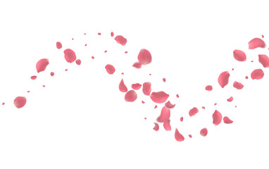 Realistic red rose petals with transparent background. Vector illustration