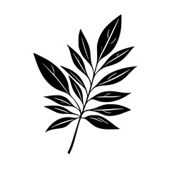 Silhouette rose, rose vector, flower svg, vector flower, herb, branch, line art, outline, eps, png, svg, flower, floral, vector, leaf, plant, nature, tree, leaves, illustration, spring, flora, design,