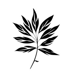 Silhouette rose, rose vector, flower svg, vector flower, herb, branch, line art, outline, eps, png, svg, flower, floral, vector, leaf, plant, nature, tree, leaves, illustration, spring, flora, design,