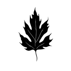 Silhouette rose, rose vector, flower svg, vector flower, herb, branch, line art, outline, eps, png, svg, flower, floral, vector, leaf, plant, nature, tree, leaves, illustration, spring, flora, design,