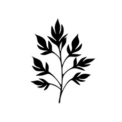 Silhouette rose, rose vector, flower svg, vector flower, herb, branch, line art, outline, eps, png, svg, flower, floral, vector, leaf, plant, nature, tree, leaves, illustration, spring, flora, design,