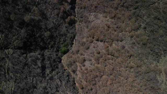 Drone flying over mountain landscape with sunlight in central Mexico, Morelia, Michoacan