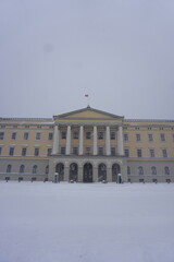 Naklejka premium Norwegian Outdoors Stock 2024.01.17 The Royal Palace 0003