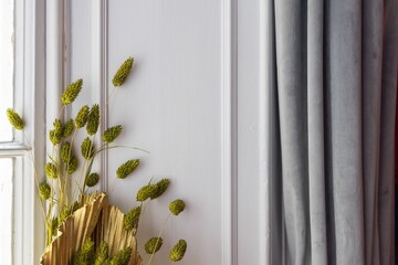 Decorative green plants on the background of white wall at the windowsill
