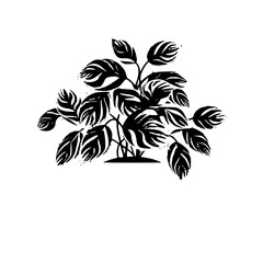  leaf vector, herb silhouette, silhouette plant, silhouette flower, silhouette floral, plantpot, leaf, tree, plant, nature, vector, bamboo, pattern, branch, silhouette, floral, flower, design, 