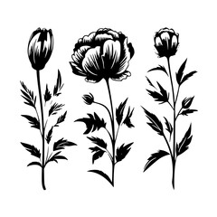  leaf vector, herb silhouette, silhouette plant, silhouette flower, silhouette floral, plantpot, leaf, tree, plant, nature, vector, bamboo, pattern, branch, silhouette, floral, flower, design, 