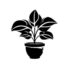  leaf vector, herb silhouette, silhouette plant, silhouette flower, silhouette floral, plantpot, leaf, tree, plant, nature, vector, bamboo, pattern, branch, silhouette, floral, flower, design, illustr