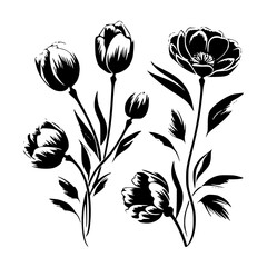 flower svg, vector flower, herb, branch, line art, outline, eps, png, svg, flower, floral, vector, nature, leaf, rose, illustration, plant, design, vintage, pattern, flowers, art, drawing, tulip, 