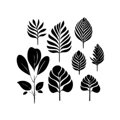 Obraz premium leaf vector, herb silhouette, silhouette plant, silhouette flower, silhouette floral, plantpot, leaf, tree, plant, nature, vector, bamboo, pattern, branch, silhouette, floral, flower, design, illustr