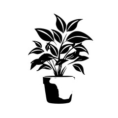  leaf vector, herb silhouette, silhouette plant, silhouette flower, silhouette floral, plantpot, leaf, tree, plant, nature, vector, bamboo, pattern, branch, silhouette, floral, flower, design, illustr