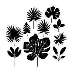 leaf vector, herb silhouette, silhouette plant, silhouette flower, silhouette floral, plantpot, leaf, tree, plant, nature, vector, bamboo, pattern, branch, silhouette, floral, flower, design, illustr